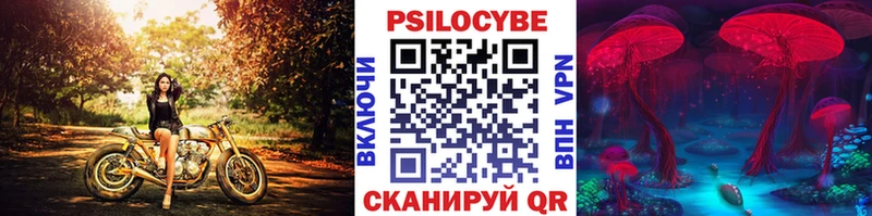 мориарти Telegram  Островной  Галлюциногенные грибы GOLDEN TEACHER 